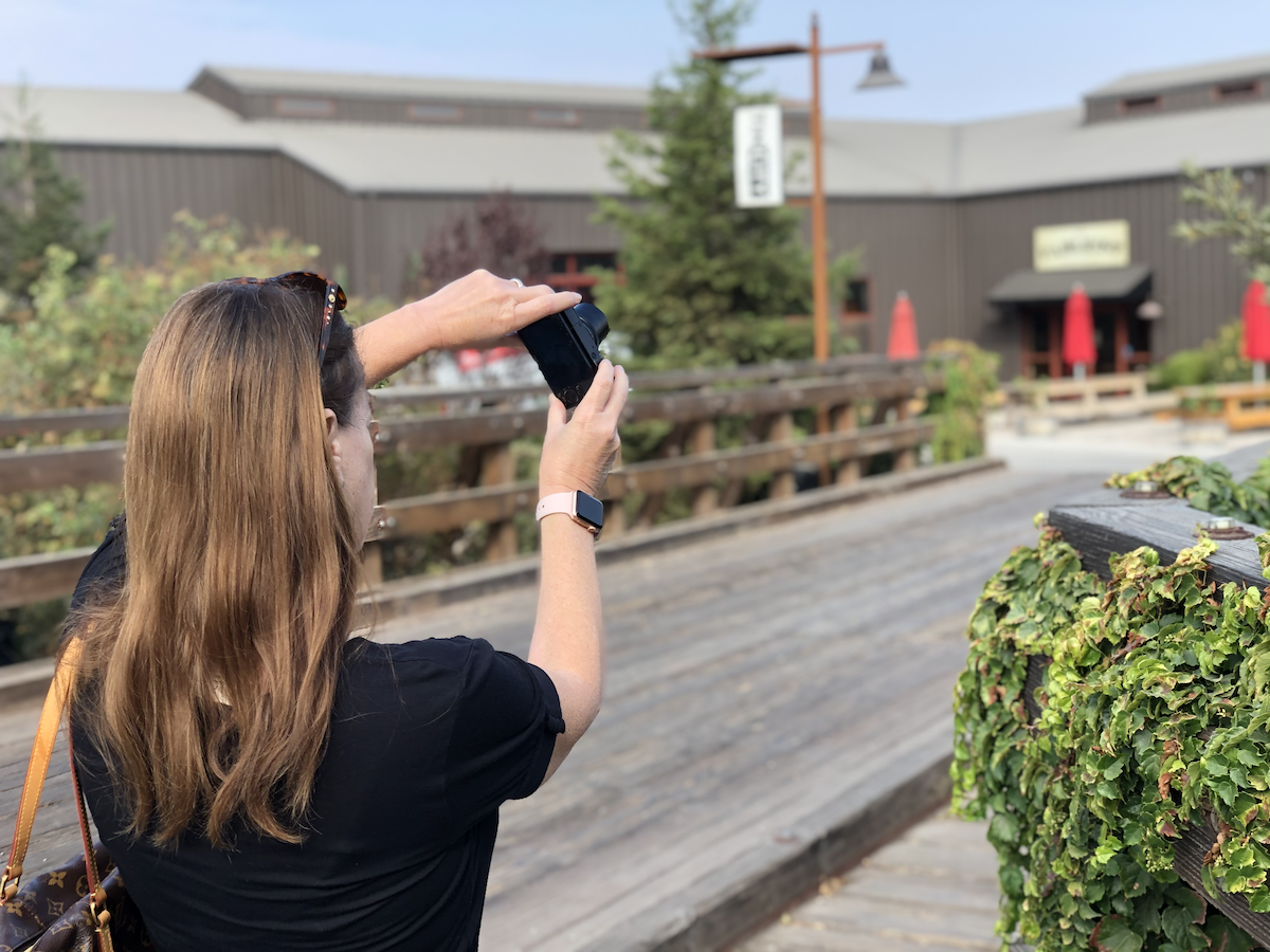Point and Shoot Live Stream an Event