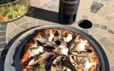 Scott Bourquin, Pilot, Actor – With a Pizza Problem